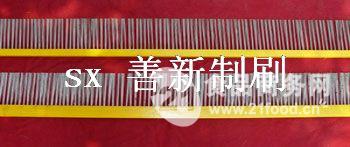 善新刷產(chǎn)品 善新刷產(chǎn)品圖片 善新刷怎么樣 最新善新刷產(chǎn)品展示